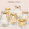 Gandeer 6 Pcs Glass Mason Jar with LED Lights for