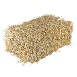 Garden Elements Straw Bale by Shady Creek Farm, Multi-Use for Farm & Home, Large Straw Bale, 36"