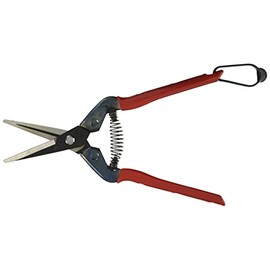 tikamasa Buds Cutting, 摘果 Scissor T-3 55ch