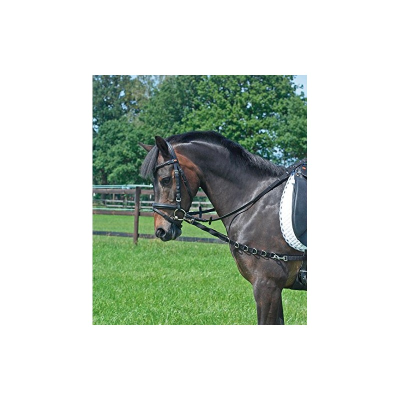 Ausbindezügel OESEN-ELASTIK, SH/M-Pony, schwarz/NP