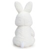HollyHOME Bunny Stuffed Animal, Bunny Plush with Carrot, Cute Rabbite