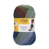 Regia Sock Wool - 6 Thread - Colour Colours -