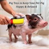 Toys for Pigs - 3-Pack Interactive Grooming Brushes | Pig
