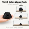 Shrimp Cave 2-Pack, Volcano-Style Shrimp Hides