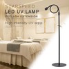12W UV Lash Lamp with Foot Pedal, Rapid Dry in