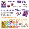 ハードグミ 13種 詰め合わせ セット フルーツ味 グレープ味 コーラ味 ドリンク系 グミ 果汁
