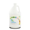 Airx RX 66 Bio-Enzymatic Foul Odor Digester, 1 Gallon Bottle