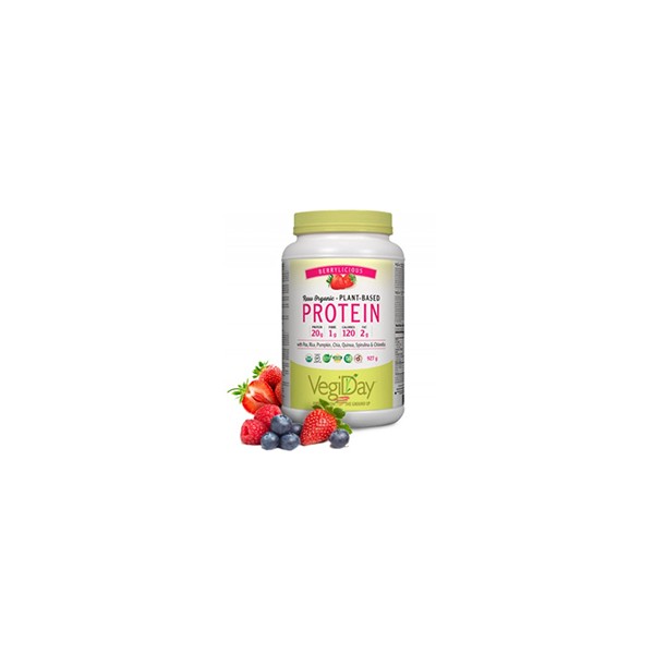 Vegiday Raw Organic Protein (Berrylicious) - 972g