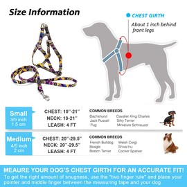 Petsyards Dog Harness and Leash Set, No Pull Step in Basic Halter Harness for Medium, Small Breed Dogs Cats Pixel Purple S