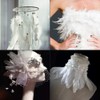 Feather Shower Feathers, Plenty of 120 Pieces, Decorative Feathers, Wedding,