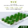 Model Grass, Summer Grass, Diorama, Scene Collection, Glass Model, Buildings,