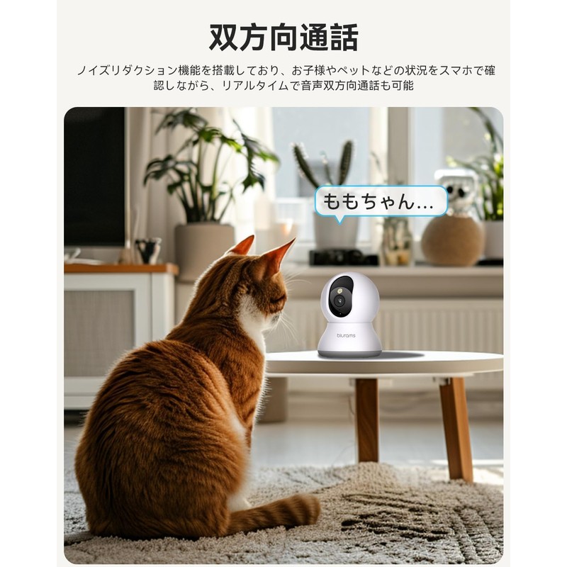 Set of 2, Full Color Night Vision, 3 Megapixels, Pet