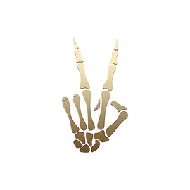 Peace Sign Skeleton Hand Vinyl Decal Notebook Car Laptop 3" x 5.5" (Gold)