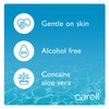 Carell Professional Care - Pack of 10 Wipes - Refreshing