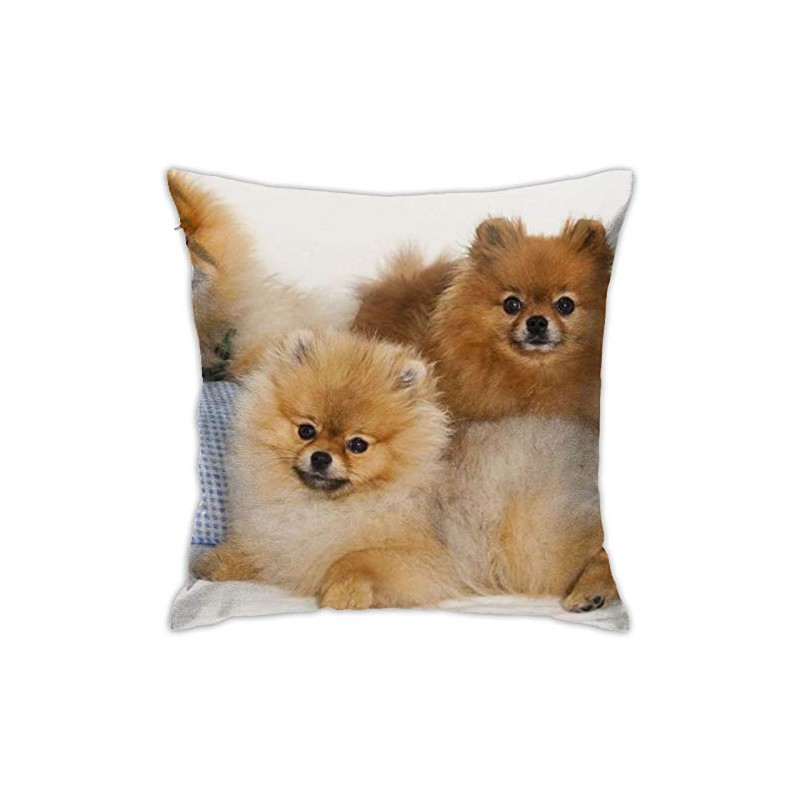 antcreptson Funny Pomeranian Throw Pillow Cover Decorative Cushion Case Home