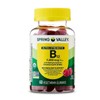 Spring Valley B12 5000 mcg-Vitamin Gummies Ultra Strength Methylcobalamin, 60ct