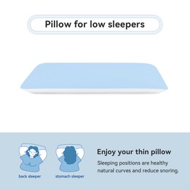 AM AEROMAX 2.75 Inches Queen Size Hyper Slim Memory Foam Pillow for Stomach and Back Sleepers - Thin, Flat Design for Cervical Neck Alignment and Deeper Sleep.