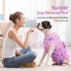 Kuoser Dog Surgery Recovery Suit, Anti Licking Pet Surgical Suit