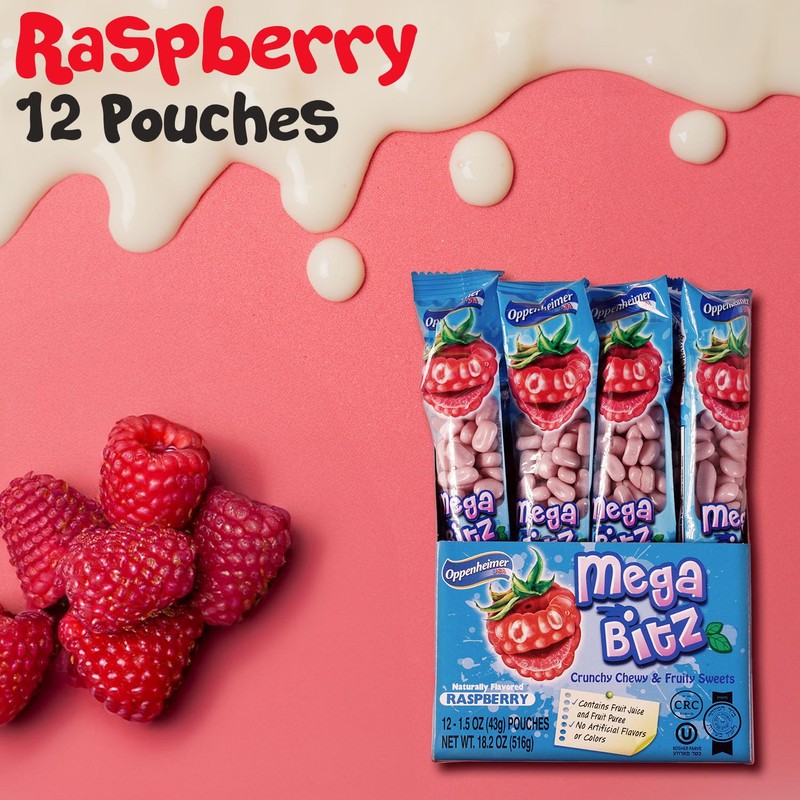 Mega Bitz Fruit Nuggets Blue Raspberry Candy Bulk Pack for