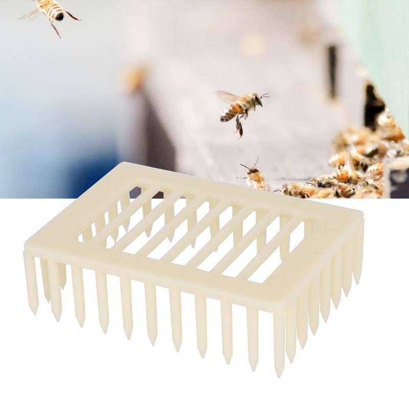 Non-Toxic Bee Cage, Queen Cage, Plastic 20Pcs for Indoor Home