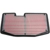 Hiflo Filtro AIR FILTER AIR FILTER HFA6502 HFA6502 824225123692