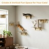 Pecute 2-in-1 Cat Window Perch & Wall Shelves, Cat Hammock