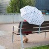 balvi Meowmbrella Umbrella Colour Grey Original Design Full Cats Made
