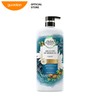 Clairol Herbal Essences Argan Oil of Morocco Shampoo 600ml