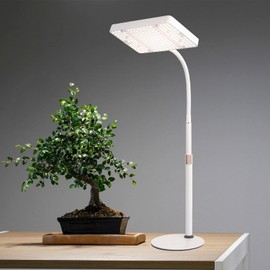 JINHONGTO Tabletop Grow Light LED Full Spectrum UV IR, Veg Seed Starting Seedlings Bonsai Houseplant Plant Light, Desk Grow Lights for Indoor Plants, 16"-24" Height Adjustable