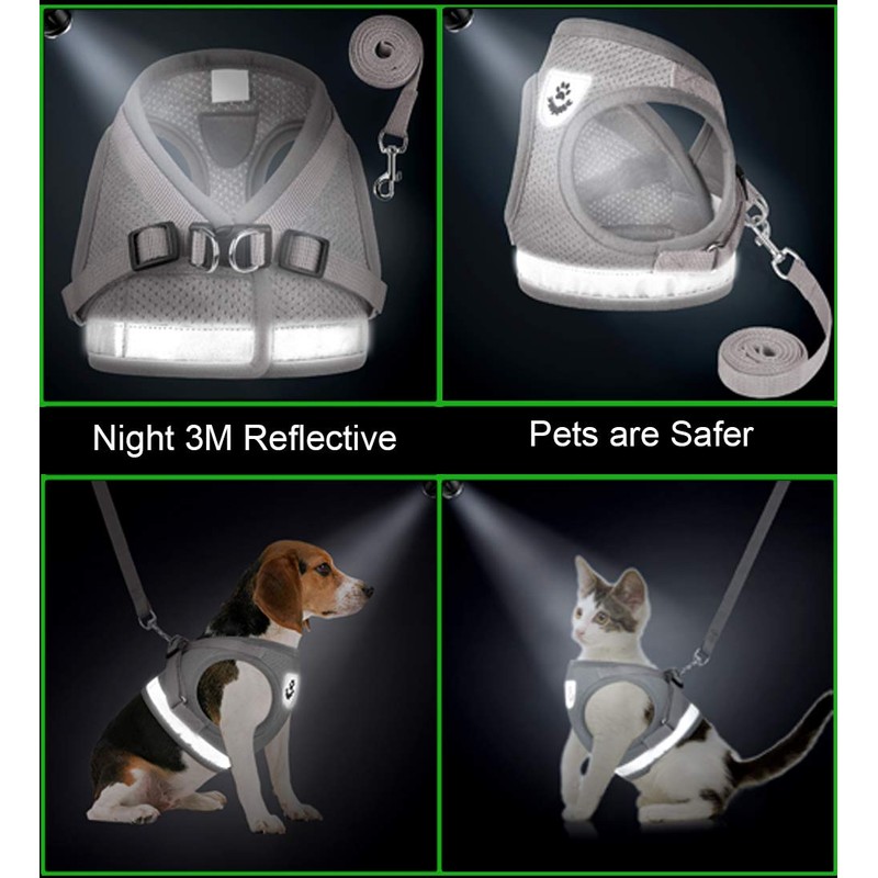 GAUTERF Kitten and Puppy Universal Harness with Leash Set, Escape