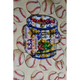 BSA 2013 Scouting For Food Patch Cub Scouts Uniform Boy Scouts Of America