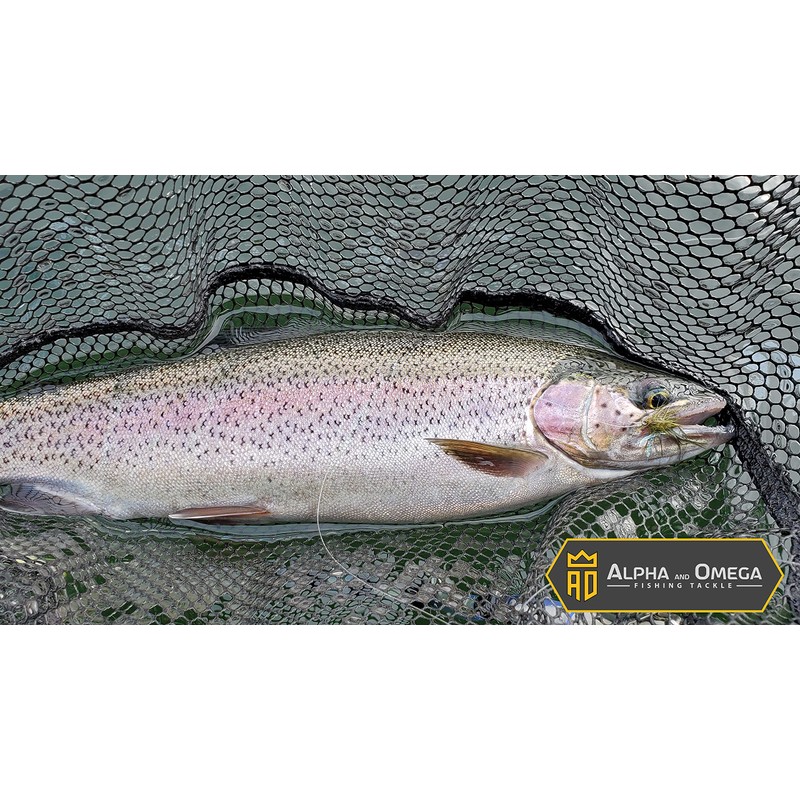 ALPHA and OMEGA - Woolly Bugger Fly KIT (20 Flies)