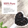 Dried Elderberries Organic 1 lb Bulk Bag - USDA Certified,