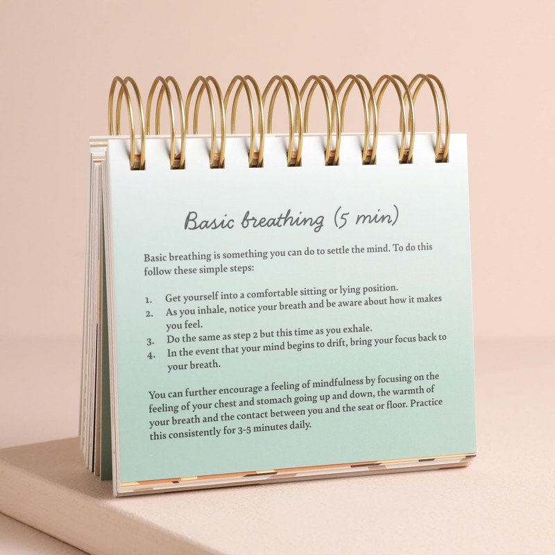Lisa Angel Daily Mindfulness Flip Chart | 52 Prompts for