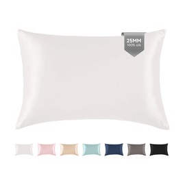 THXSILK 100% Silk Pillowcase for Hair and Skin, 25 Momme Both Sides Grade 6A+ Mulberry Silk Pillow Case with Hidden Zipper, Soft Smooth White Pillowcase(1pc, Queen Size 20"x30")