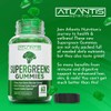 Atlantis Nutrition Supergreens Gummies - Daily Green Superfoods Supplement with