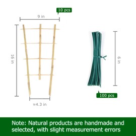 Cambaverd Trellis for Indoor Potted Plants 10 Pack Bamboo Trellis with Twist, 16in Fan-Shaped Plant Trellis Indoor for Climbing Plants Hoya Vines Monstera House Plant