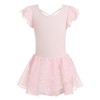 Maillot de ballet sin mangas para niñas con falda, estampado