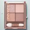 Anjumain Cezanne bitter tone eye shadow, 02 dry rose, 1
