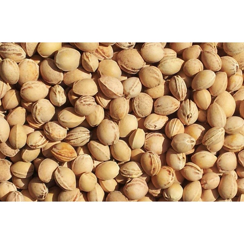 Grain Pillow 24 x 24 cm Raw Organic Fabric, ,