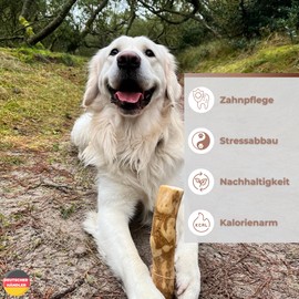 ZOYS® Coffee Wood Natural Chew Bone for Dogs - Chew Stick for Teeth Cleaning & Dental Health & Sustainable Activity - Dog (XL, Pack of 3)