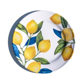 Abode Homewares Lemon Orchard newWave Microwave Safe Premium Melamine Dinner Plate, Set of 6, 10.5"