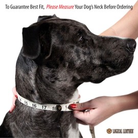 Logical Leather Padded Dog Collar - Best Full Grain Heavy Duty Genuine Leather Collar - Grey - Extra Large