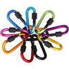 Feloyal 10 Pcs Aluminum Alloy D Hook Keychain Carabiner Clip