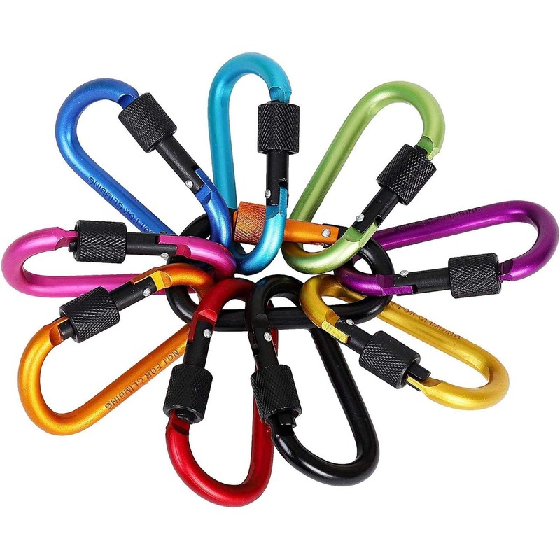 Feloyal 10 Pcs Aluminum Alloy D Hook Keychain Carabiner Clip
