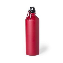 eBuyGB Metal Water Bottle 800ml Aluminium Leakproof Drinks Bottle Reusable BPA Free Matt Water Bottles with Carabiner Clip - School, Gym, Outdoor, Yoga & Sports - Red (Pack of 1)