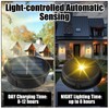 Pack of 2 Replacement Solar Module for Garden Light, Solar
