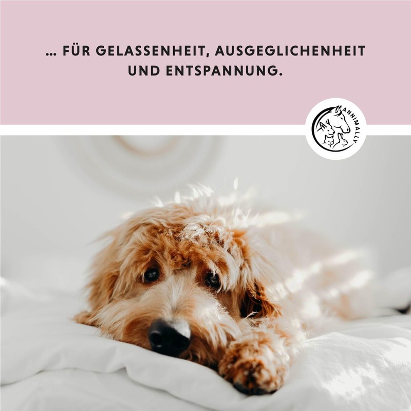 Annimally Dog Relax Tablets - Feel-Good Tablets for Dogs with