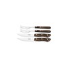 Tramontina Premium steak cutlery set, stainless steel, FSC, full tang