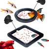 SunGrow 2 Betta Feeding Ring, Prevent Water Turbulence from Washing